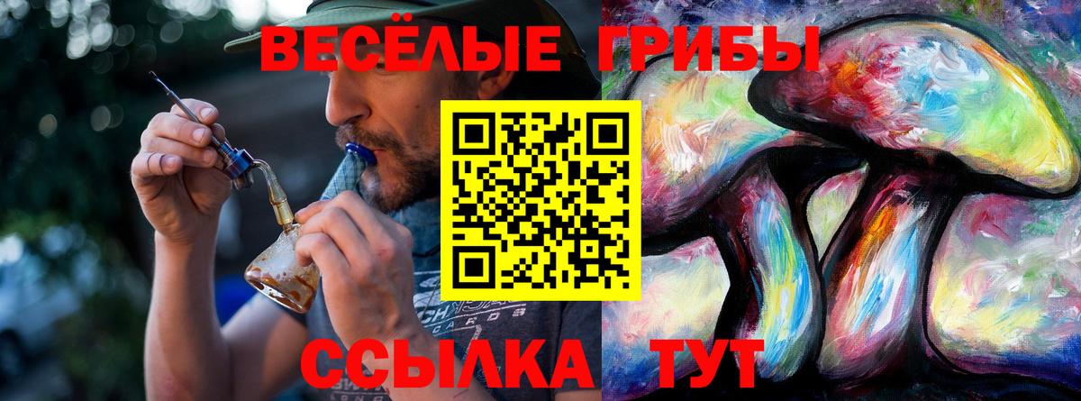 Галлюциногенные грибы Psilocybine cubensis Ликино-Дулёво